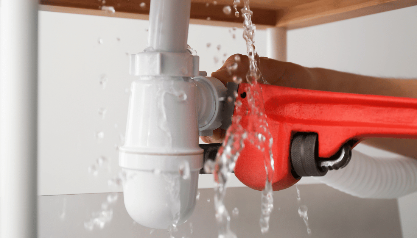 Bellevue Repiping
