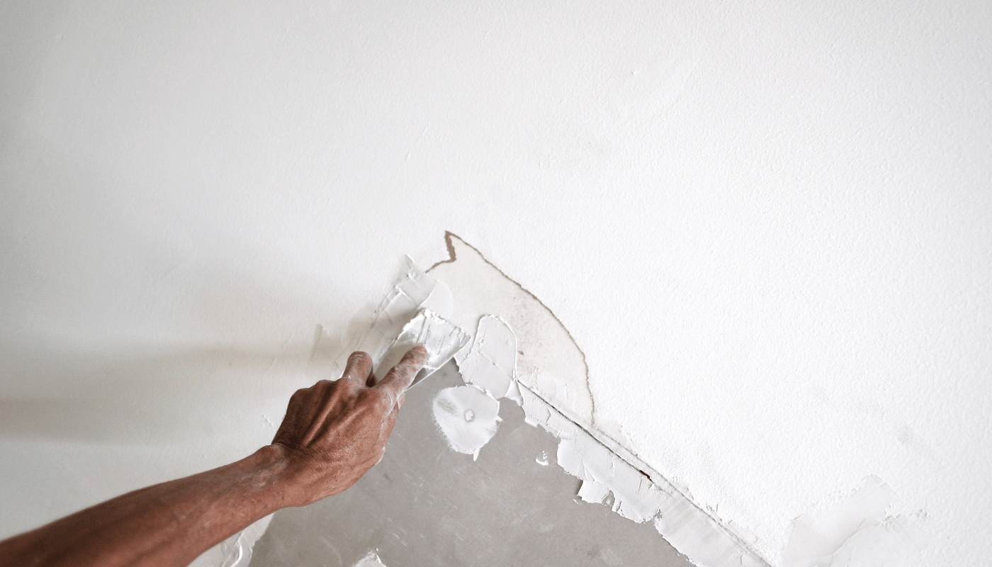 snohomish drywall repair