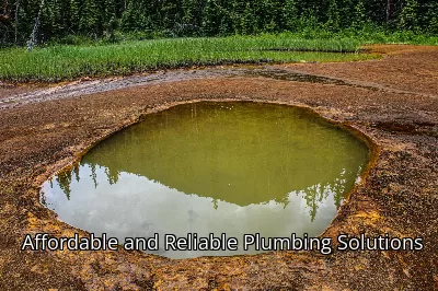 Affordable and Reliable Plumbing Solutions Affordable and Reliable Plumbing Solutions