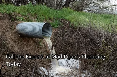 Call the Experts at Mad Piper’s Plumbing Today Call the Experts at Mad Piper’s Plumbing Today