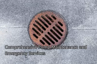 Comprehensive Pump Maintenance and Emergency Services Comprehensive Pump Maintenance and Emergency Services