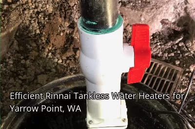 Efficient Rinnai Tankless Water Heaters for Yarrow Point, WA Efficient Rinnai Tankless Water Heaters for Yarrow Point, WA