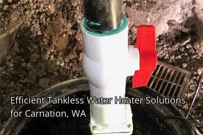 Efficient Tankless Water Heater Solutions for Carnation, WA Efficient Tankless Water Heater Solutions for Carnation, WA