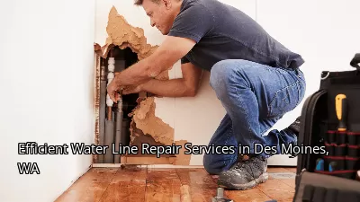 Efficient Water Line Repair Services in Des Moines, WA Efficient Water Line Repair Services in Des Moines, WA