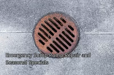 Emergency Sump Pump Repair and Seasonal Specials Emergency Sump Pump Repair and Seasonal Specials