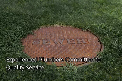 Experienced Plumbers Committed to Quality Service Experienced Plumbers Committed to Quality Service