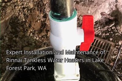 Expert Installation and Maintenance of Rinnai Tankless Water Heaters in Lake Forest Park, WA Expert Installation and Maintenance of Rinnai Tankless Water Heaters in Lake Forest Park, WA