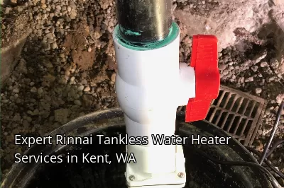 Expert Rinnai Tankless Water Heater Services in Kent, WA Expert Rinnai Tankless Water Heater Services in Kent, WA