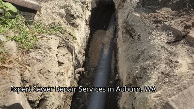 Expert Sewer Repair Services in Auburn, WA Expert Sewer Repair Services in Auburn, WA