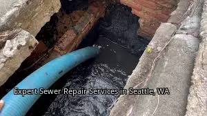 Expert Sewer Repair Services in Seattle, WA Expert Sewer Repair Services in Seattle, WA