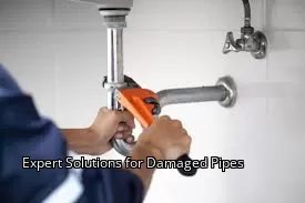 Expert Solutions for Damaged Pipes Expert Solutions for Damaged Pipes