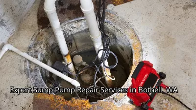 Expert Sump Pump Repair Services in Bothell, WA Expert Sump Pump Repair Services in Bothell, WA