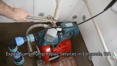 Expert Sump Pump Repair Services in Edmonds, WA Expert Sump Pump Repair Services in Edmonds, WA