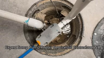 Expert Sump Pump Repair Services in Enumclaw, WA Expert Sump Pump Repair Services in Enumclaw, WA