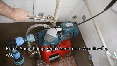 Expert Sump Pump Repair Services in Woodinville, WA Expert Sump Pump Repair Services in Woodinville, WA