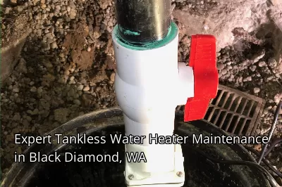 Expert Tankless Water Heater Maintenance in Black Diamond, WA Expert Tankless Water Heater Maintenance in Black Diamond, WA