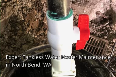 Expert Tankless Water Heater Maintenance in North Bend, WA Expert Tankless Water Heater Maintenance in North Bend, WA