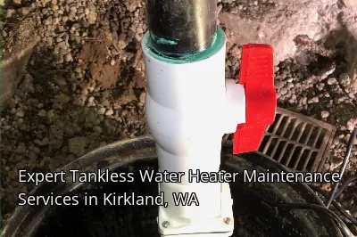 Expert Tankless Water Heater Maintenance Services in Kirkland, WA Expert Tankless Water Heater Maintenance Services in Kirkland, WA