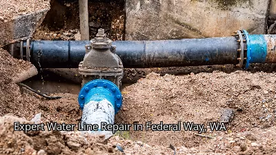Expert Water Line Repair in Federal Way, WA Expert Water Line Repair in Federal Way, WA