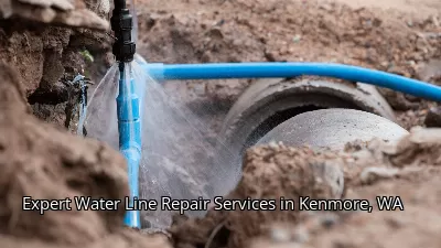 Expert Water Line Repair Services in Kenmore, WA Expert Water Line Repair Services in Kenmore, WA