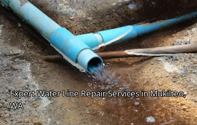 Expert Water Line Repair Services in Mukilteo, WA Expert Water Line Repair Services in Mukilteo, WA
