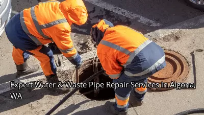 Expert Water & Waste Pipe Repair Services in Algona, WA Expert Water & Waste Pipe Repair Services in Algona, WA