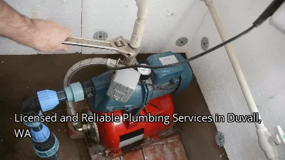 Licensed and Reliable Plumbing Services in Duvall, WA Licensed and Reliable Plumbing Services in Duvall, WA
