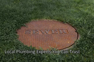 Local Plumbing Experts You Can Trust Local Plumbing Experts You Can Trust