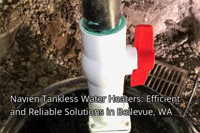 Navien Tankless Water Heaters: Efficient and Reliable Solutions in Bellevue, WA Navien Tankless Water Heaters: Efficient and Reliable Solutions in Bellevue, WA