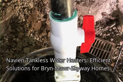 Navien Tankless Water Heaters: Efficient Solutions for Bryn-Mawr-Skyway Homes Navien Tankless Water Heaters: Efficient Solutions for Bryn-Mawr-Skyway Homes