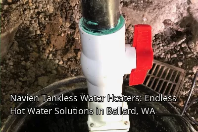 Navien Tankless Water Heaters: Endless Hot Water Solutions in Ballard, WA Navien Tankless Water Heaters: Endless Hot Water Solutions in Ballard, WA