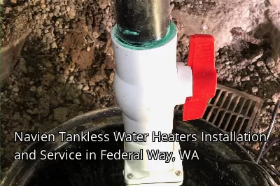 Navien Tankless Water Heaters Installation and Service in Federal Way, WA Navien Tankless Water Heaters Installation and Service in Federal Way, WA