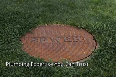 Plumbing Expertise You Can Trust Plumbing Expertise You Can Trust