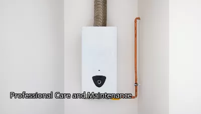Professional Care and Maintenance Professional Care and Maintenance