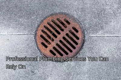 Professional Plumbing Services You Can Rely On Professional Plumbing Services You Can Rely On