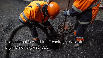 Professional Sewer Line Cleaning Services in Bryn-Mawr-Skyway, WA Professional Sewer Line Cleaning Services in Bryn-Mawr-Skyway, WA