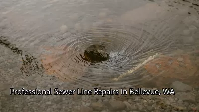 Professional Sewer Line Repairs in Bellevue, WA Professional Sewer Line Repairs in Bellevue, WA