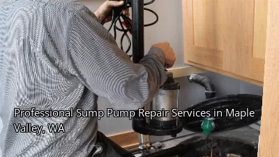 Professional Sump Pump Repair Services in Maple Valley, WA Professional Sump Pump Repair Services in Maple Valley, WA
