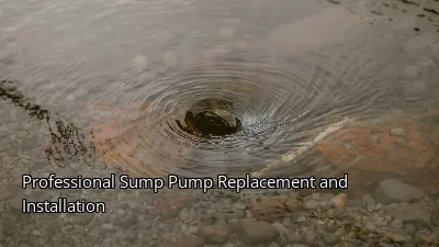 Professional Sump Pump Replacement and Installation Professional Sump Pump Replacement and Installation