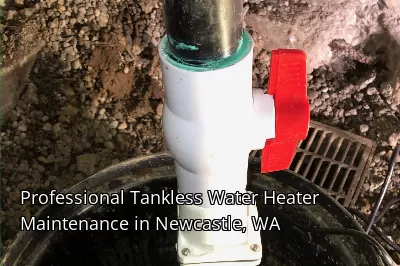 Professional Tankless Water Heater Maintenance in Newcastle, WA Professional Tankless Water Heater Maintenance in Newcastle, WA