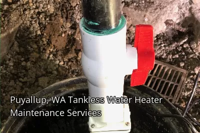 Puyallup, WA Tankless Water Heater Maintenance Services Puyallup, WA Tankless Water Heater Maintenance Services