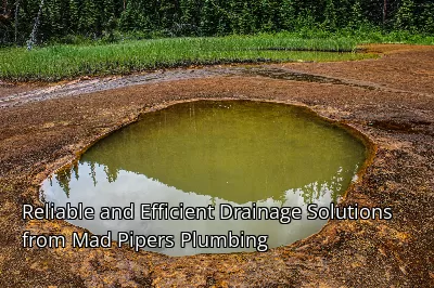Reliable and Efficient Drainage Solutions from Mad Pipers Plumbing Reliable and Efficient Drainage Solutions from Mad Pipers Plumbing