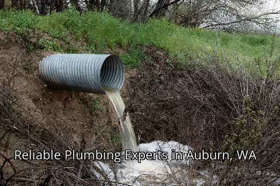 Reliable Plumbing Experts in Auburn, WA Reliable Plumbing Experts in Auburn, WA