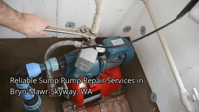 Reliable Sump Pump Repair Services in Bryn-Mawr-Skyway, WA Reliable Sump Pump Repair Services in Bryn-Mawr-Skyway, WA
