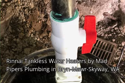 Rinnai Tankless Water Heaters by Mad Pipers Plumbing in Bryn-Mawr-Skyway, WA Rinnai Tankless Water Heaters by Mad Pipers Plumbing in Bryn-Mawr-Skyway, WA