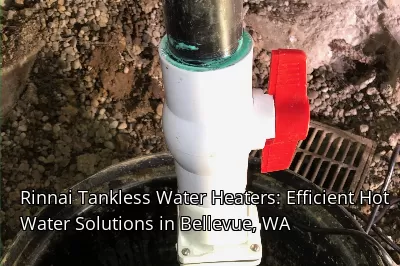 Rinnai Tankless Water Heaters: Efficient Hot Water Solutions in Bellevue, WA Rinnai Tankless Water Heaters: Efficient Hot Water Solutions in Bellevue, WA