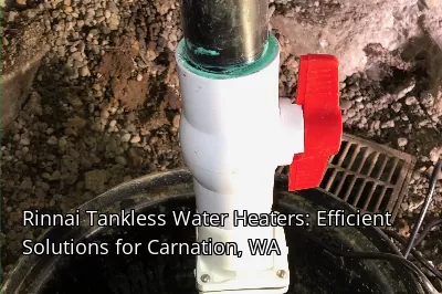 Rinnai Tankless Water Heaters: Efficient Solutions for Carnation, WA Rinnai Tankless Water Heaters: Efficient Solutions for Carnation, WA