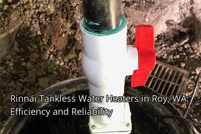 Rinnai Tankless Water Heaters in Roy, WA: Efficiency and Reliability Rinnai Tankless Water Heaters in Roy, WA: Efficiency and Reliability