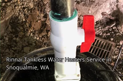 Rinnai Tankless Water Heaters Service in Snoqualmie, WA Rinnai Tankless Water Heaters Service in Snoqualmie, WA