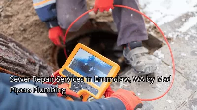 Sewer Repair Services in Enumclaw, WA by Mad Pipers Plumbing Sewer Repair Services in Enumclaw, WA by Mad Pipers Plumbing